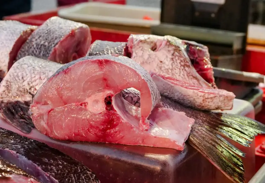 Trois poissons frais sur glace, bar, dorade et lieu, ambiance de poissonnerie